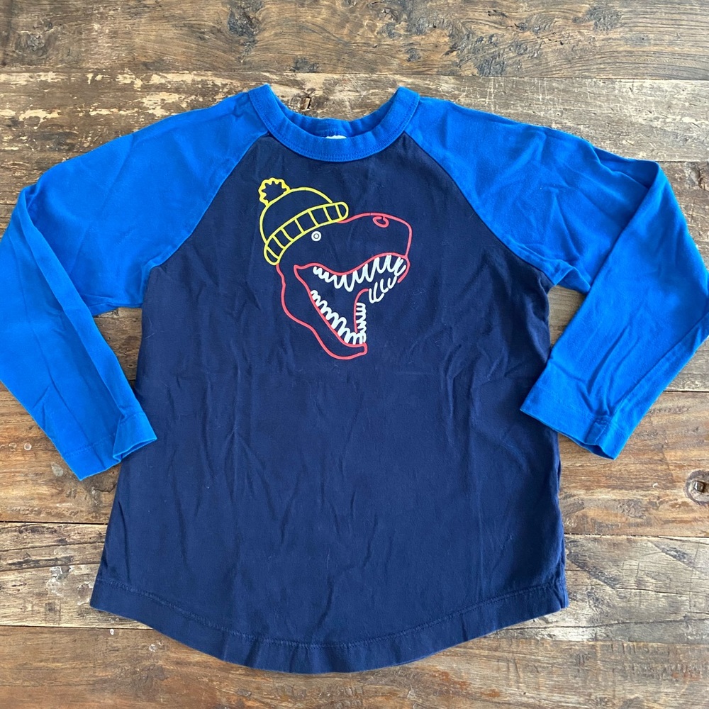 Hanna Andersson Long Sleeve Dinosaur Tshirt